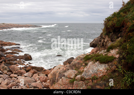 Le Green Cove Banque D'Images