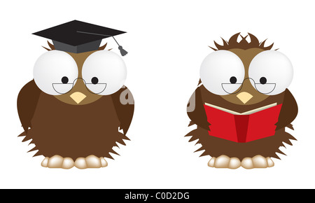 2 illustrations de chouettes studieux, vecteur entièrement éditables Banque D'Images