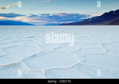Les polygones de sel du bassin de Badwater pan à Death Valley National Park, California, USA Banque D'Images