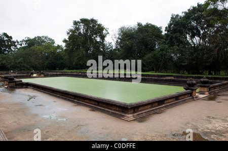 Une vue sur les étangs dans l'ancienne ville d'Anuradhapura, au Sri Lanka Banque D'Images