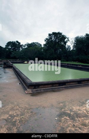 Une vue sur les étangs dans l'ancienne ville d'Anuradhapura, au Sri Lanka Banque D'Images