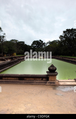 Une vue sur les étangs dans l'ancienne ville d'Anuradhapura, au Sri Lanka Banque D'Images