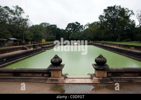 Une vue sur les étangs dans l'ancienne ville d'Anuradhapura, au Sri Lanka Banque D'Images