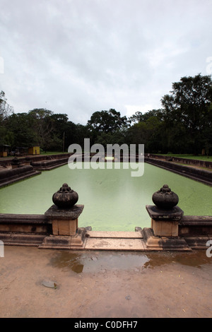 Une vue sur les étangs dans l'ancienne ville d'Anuradhapura, au Sri Lanka Banque D'Images