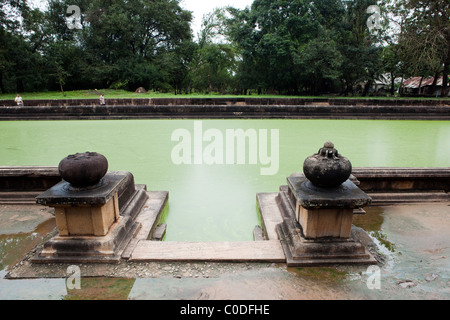 Une vue sur les étangs dans l'ancienne ville d'Anuradhapura, au Sri Lanka Banque D'Images