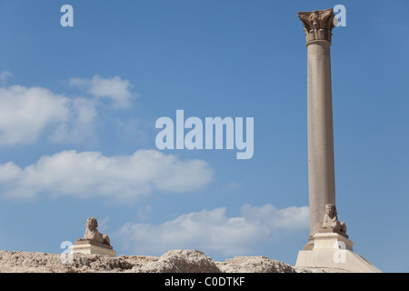 La colonne de Pompée, à Alexandrie, au nord de l'Égypte. Banque D'Images