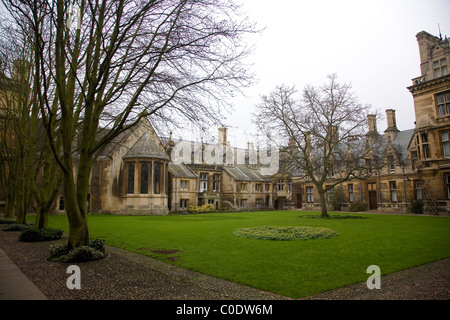 Gonville et Caius College à Cambridge Banque D'Images