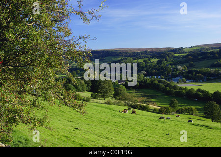 Vue du dessus, Campsites Canet-en-Roussillon Nidderdale, North Yorkshire, UK Banque D'Images