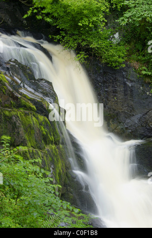 Pecca chutes, chutes, Ribblesdale Ingleton, Yorkshire Dales National Park, Royaume-Uni Banque D'Images