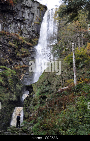 Pistyll Rhaeadr cascade dans les montagnes Berwyn Wales Banque D'Images