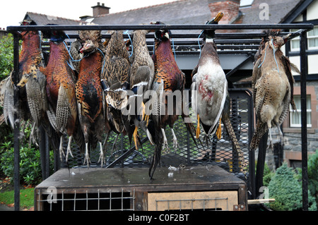 Duck & Pheasant shooting Banque D'Images