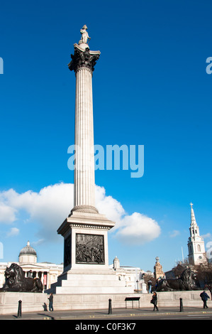 La colonne Nelson à Trafalgar Square, Londres, Angleterre Banque D'Images