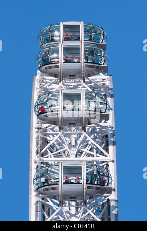 Le "London Eye" ou roue du millénaire les gousses. Londres. Banque D'Images