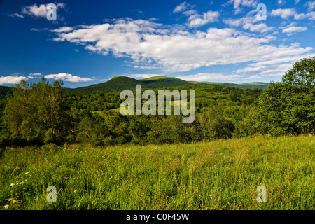 Bieszczady vue panoramique Banque D'Images