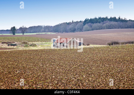 L'un des nombreux sentiers de pays dispersés dans le comté de Norfolk au Royaume-Uni qui sont apprécié par les Marcheurs et randonneurs. Banque D'Images