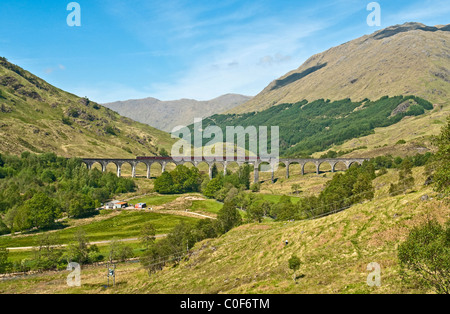 Les chemins de fer exploités sur la côte ouest de train à vapeur traversant le viaduc de Glenfinnan sur le retour de Mallaig à Fort William en Ecosse Banque D'Images