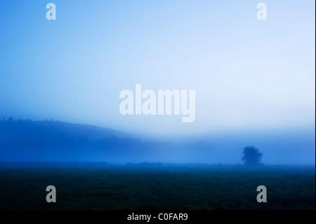 Moody misty matin brumeux scène avant le lever du soleil sur l'Angleterre Arundel Banque D'Images