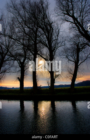 Soleil d'hiver faible sur rivière waveney à dunburgh uk suffolk Banque D'Images