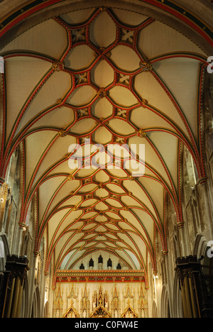 Lierne vault, église Honiton, Devon, UK Banque D'Images