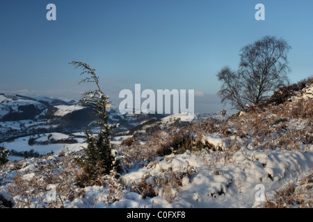 Les arbres et la neige sur Llangollen panorama avec vue de Dinas Bran castle Banque D'Images