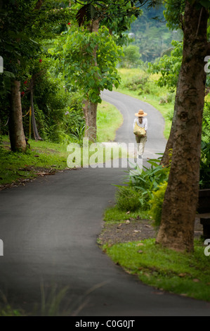 Un touriste dans la campagne balinaise balades à travers une route bordée d'arbres au milieu des rizières en terrasses de l'instrumentiste. Banque D'Images