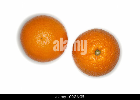 Fruits oranges sur fond blanc Banque D'Images