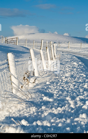 ORKNEY ORPHIR dh champ de neige en bordure des routes verglacées clôture Banque D'Images