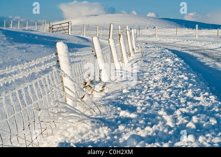 ORKNEY ORPHIR dh champ de neige en bordure de la barrière de glace hiver écossais scotland road scene Banque D'Images