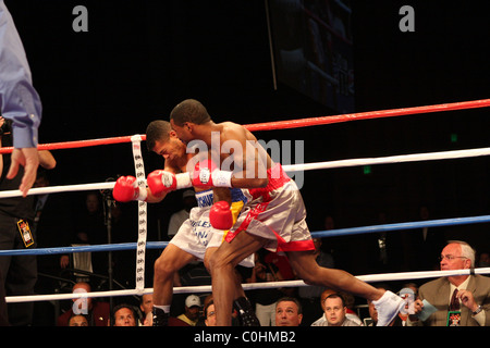 Kendall Holt knocks out Ricardo Torres dans le monde WBO Lightweight championship. Las Vegas, Nevada - 05.07.08 Mary Ann Owen / Banque D'Images