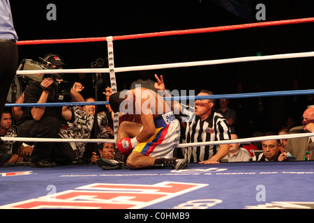 Kendall Holt knocks out Ricardo Torres dans le monde WBO Lightweight championship. Las Vegas, Nevada - 05.07.08 Mary Ann Owen / Banque D'Images