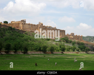 Fort d'Amber - Jaipur, Inde Banque D'Images