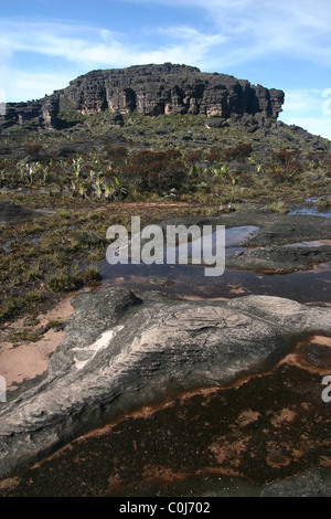 Le sommet (El Carro) du mont Roraima (Tepui) au Venezuela Banque D'Images