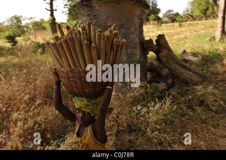 Jeune enfant portant un basketful de mil , Neni, Mali Banque D'Images