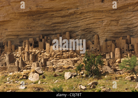 Dans les falaises maisons disparus (telem dans au-dessus du village d'Ireli. Pays Dogon, au Mali Banque D'Images