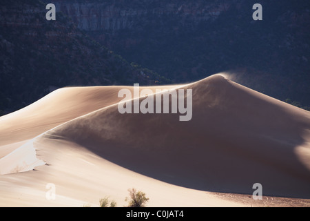 Réserver Coral sand dunes aux États-Unis. Le lever du soleil, la brise matinale Banque D'Images