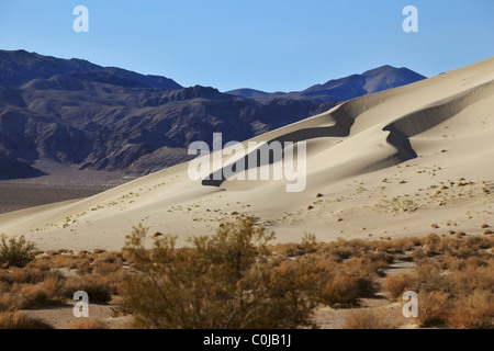 Une immense dune de sable Eureka Morning Sunrise Banque D'Images