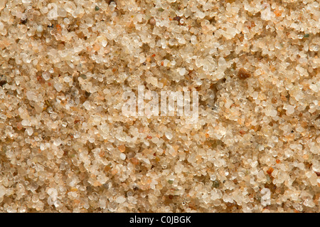 Close up image de grains de sable Banque D'Images