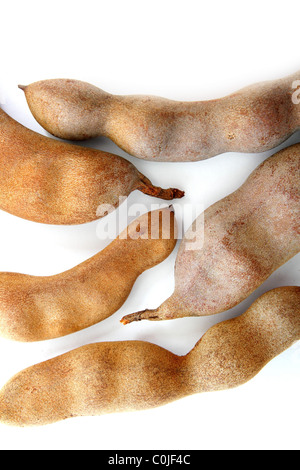 Fruits isolés Tamarind Tamarindus indica Légumineuses Banque D'Images