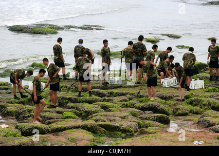 Péril VERT POUR LES JEUX OLYMPIQUES en Chine Soldats travaillent jour et nuit pour effacer une infestation d'algues de la côte avant de Banque D'Images