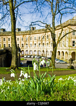 Perce-neige floraison devant le croissant. Un bâtiment de style géorgien à Buxton, Derbyshire, Angleterre. Banque D'Images