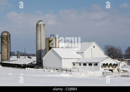 Amish farm and house sous la neige dans la région de Lancaster, PA Banque D'Images