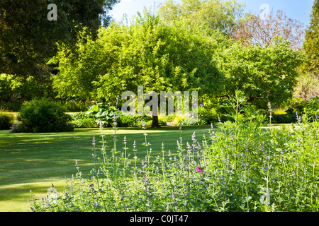 La pelouse d'un jardin de campagne anglaise, entouré d'arbres, arbustes, fleurs et des frontières dans le Wiltshire, England, UK en été Banque D'Images