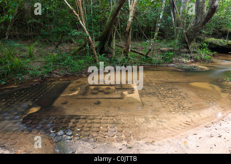 De la Rivière aux Mille Lingas un, Kbal Spean, près de Angkor, Chère Parc National Kulen. Siem Reap Cambodge, Indochine, Asie du sud-est Banque D'Images