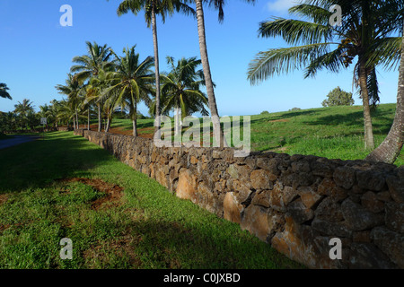 Mur de pierre de lave, Kauai, Hawaii Banque D'Images