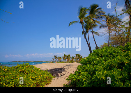 Kapalaoa Anaehoomalu Bay, Plage, côte Kohala, Île d'Hawaï Banque D'Images