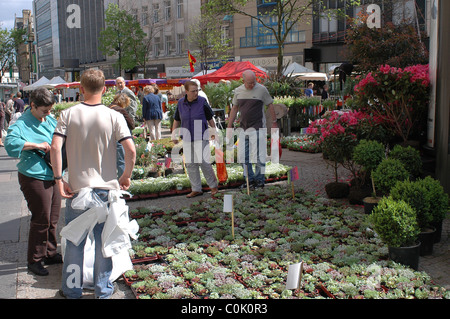 Les agriculteurs/ Garden Market sur Fargate Sheffield City Centre Banque D'Images