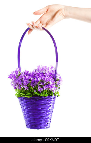 Woman holding basket à la main avec des fleurs. Isolé sur blanc. Banque D'Images