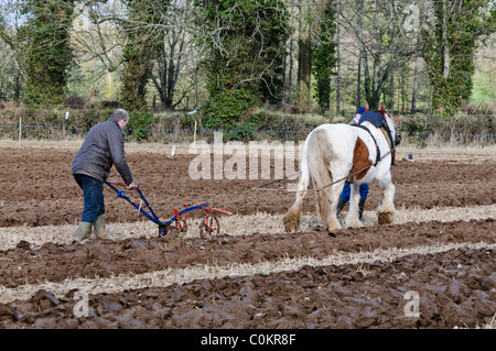 Agriculteur laboure un champ à l'aide d'un cheval et une charrue tirée par des chevaux Banque D'Images