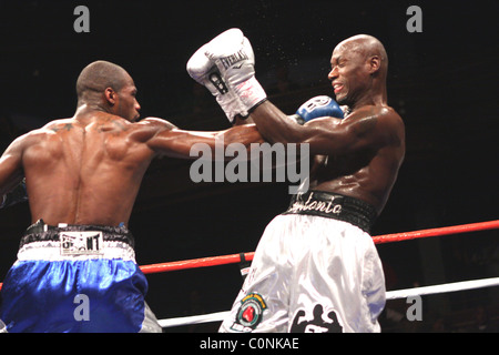 Chad Dawson bat Antonio Tarver pour l'IBF et le lBO light Heavyweight Championship title, au Palms Hotel and Casino Banque D'Images