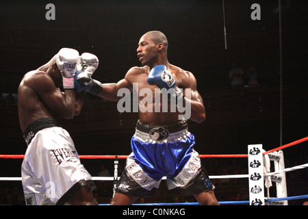 Chad Dawson bat Antonio Tarver pour l'IBF et le lBO light Heavyweight Championship title, au Palms Hotel and Casino Banque D'Images